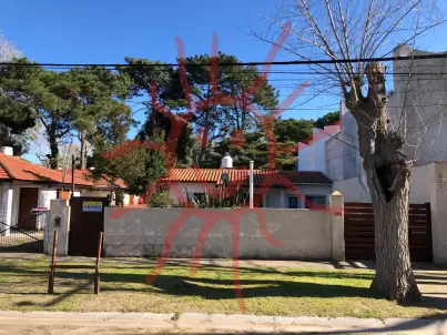 Foto del frente del cod. 567