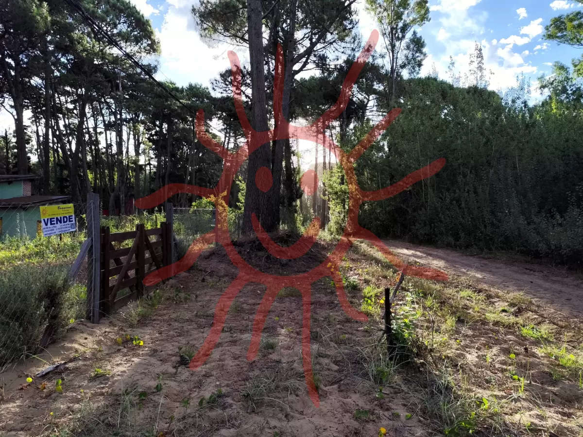 Foto del frente de la unidad clave 329